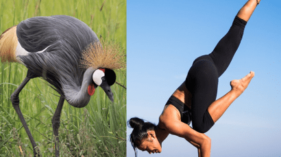 What Is Yoga BY Yoga Vidya Teacher Sahil Kumar Nagpal