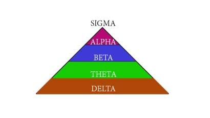 Life Coach Sahil - Social Science