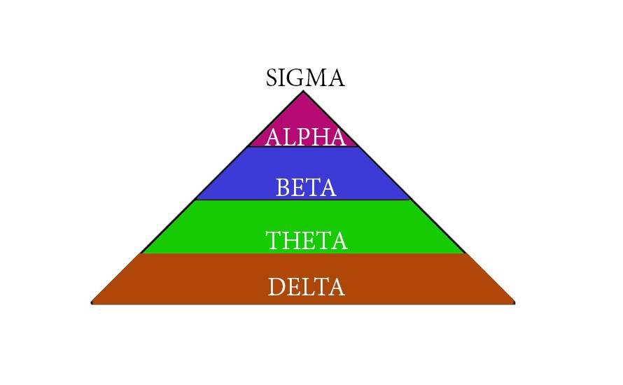 Life Coach Sahil - Social Science
