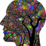 Understanding Mind For Life Coaching Process