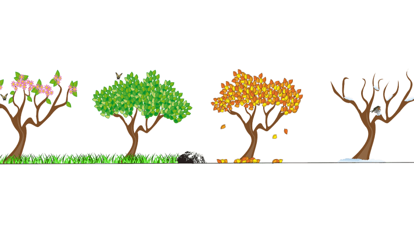 Best Life Coach In India