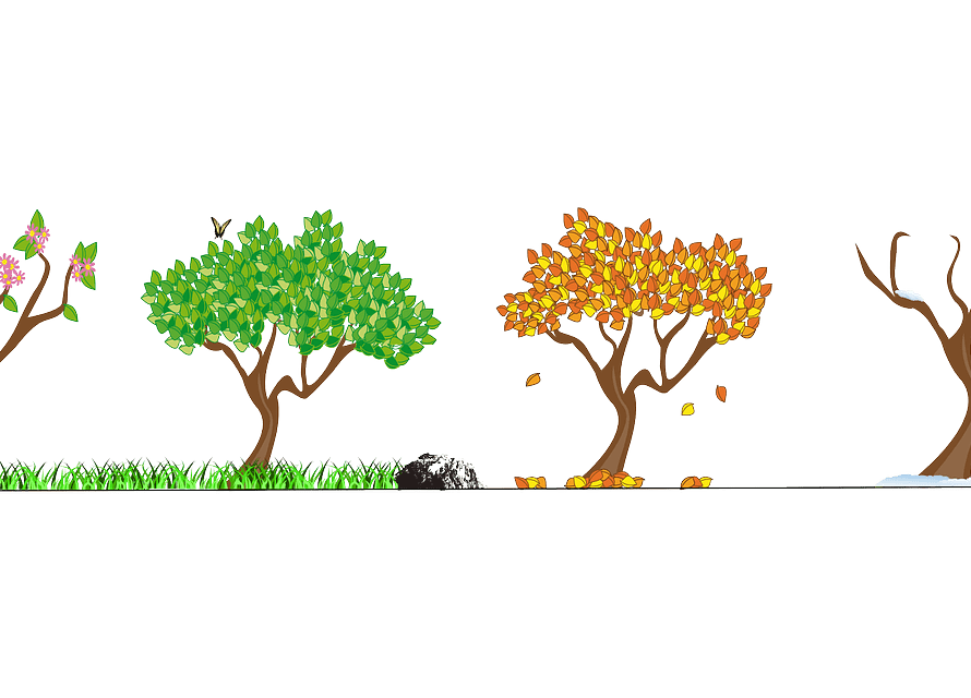 Best Life Coach In India