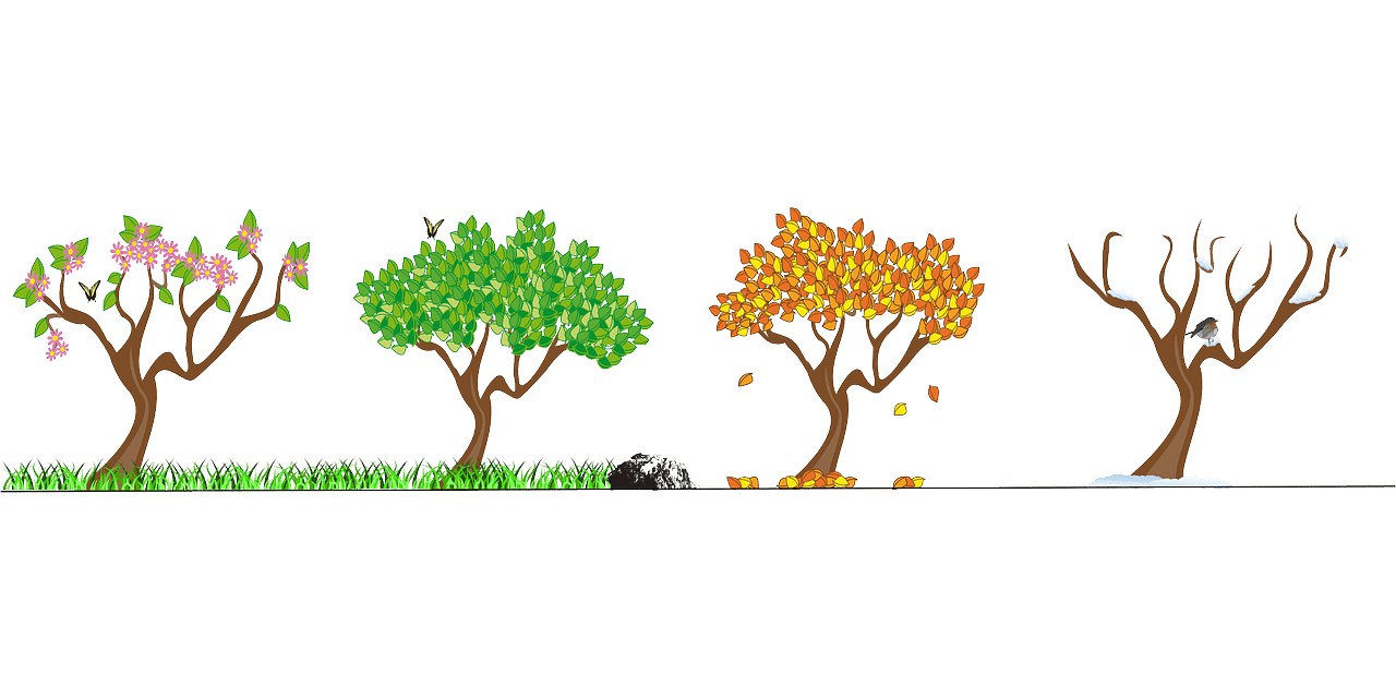 Best Life Coach In India