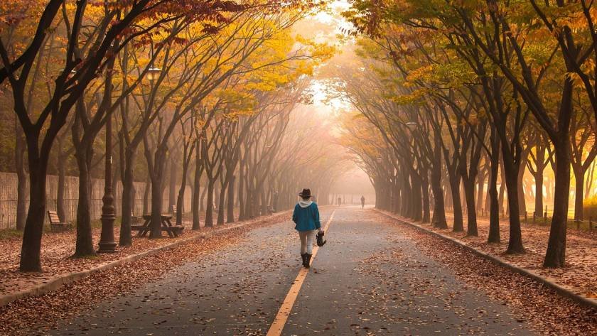 Holistic Life Coach In India Suggest For Wellness