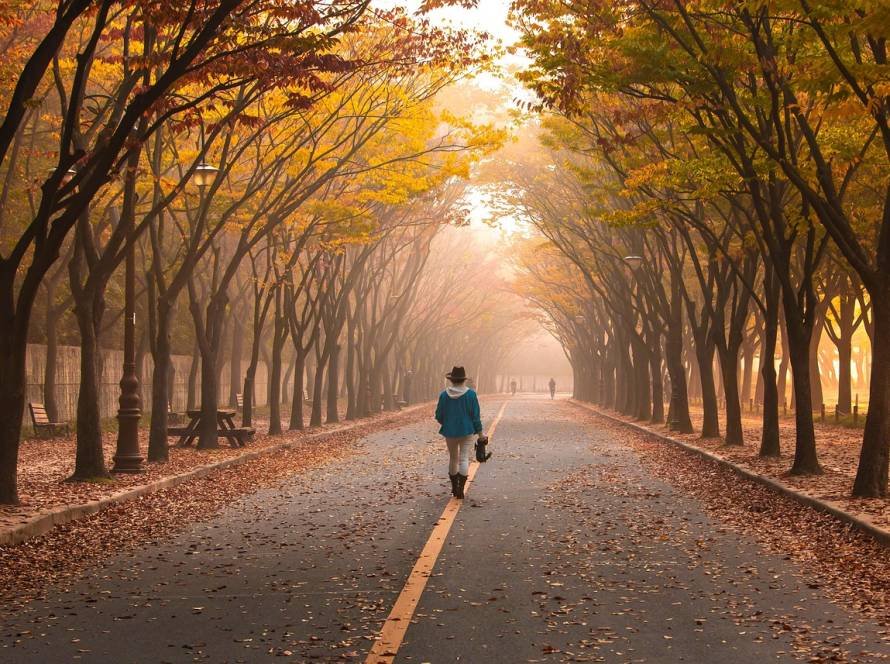 Holistic Life Coach In India Suggest For Wellness